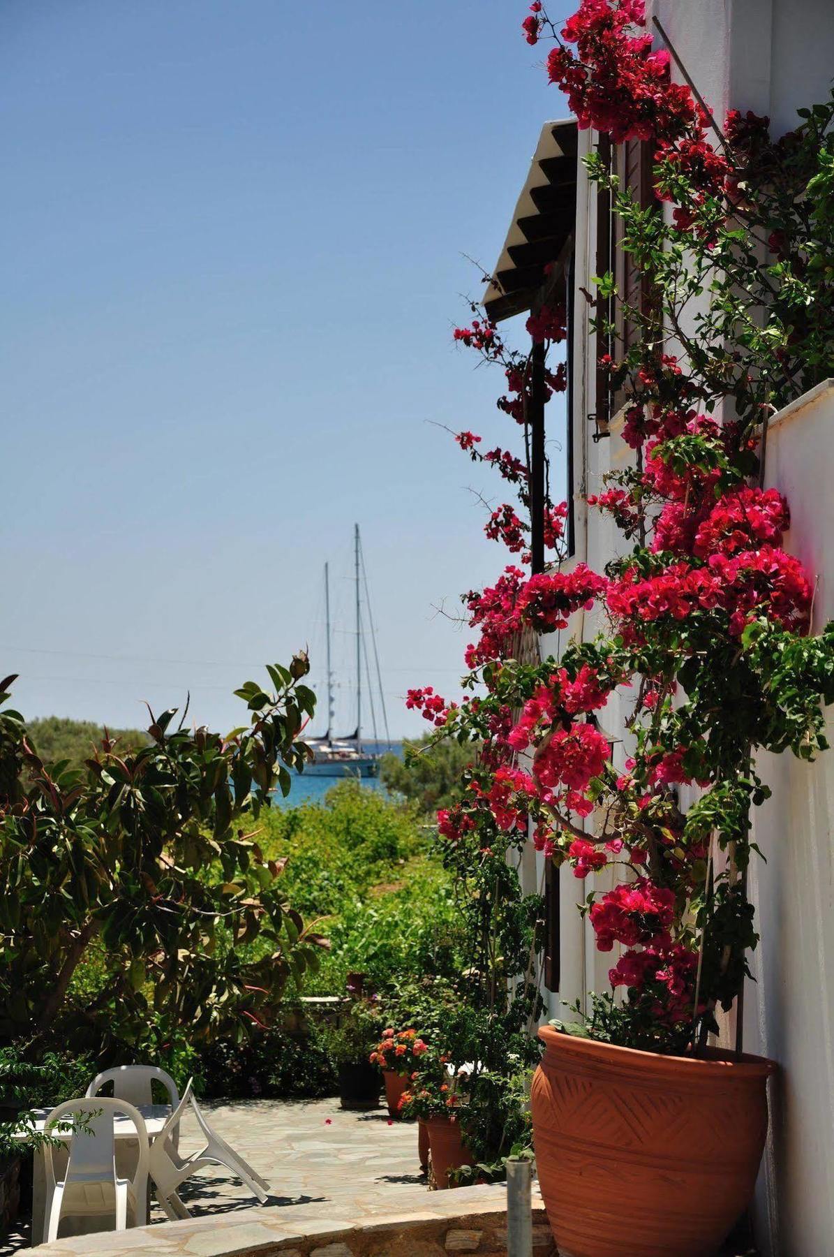 Michalis Apartments Near The Beaches With Sea View Parikia  Luaran gambar